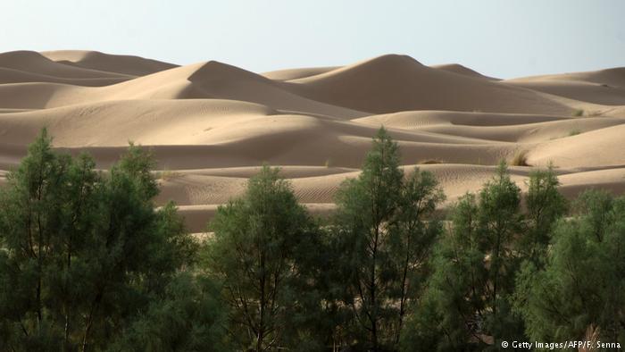 África necesita una «muralla verde»