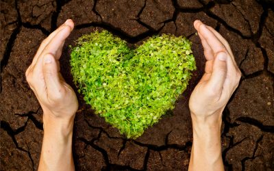 Día Nacional de la Conservación del Suelo