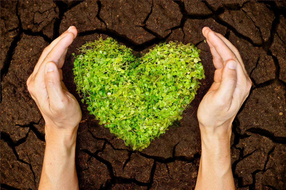 Día Nacional de la Conservación del Suelo