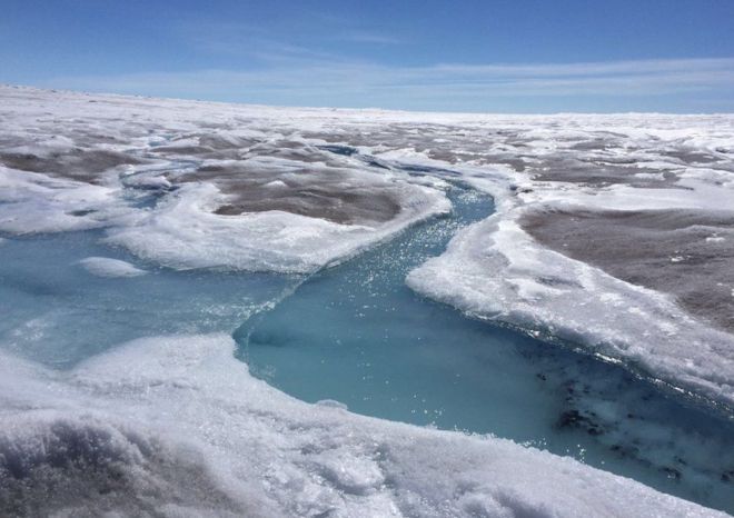 Por qué se está oscureciendo la capa de hielo en Groenlandia y por qué este fenómeno es motivo de preocupación