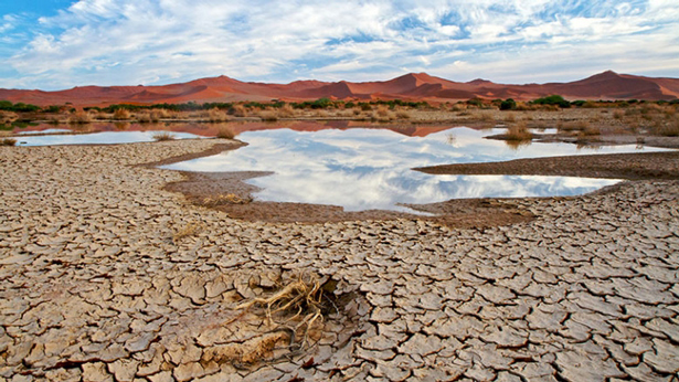 Los países árabes deben innovar en el uso del agua para hacer frente al cambio climático