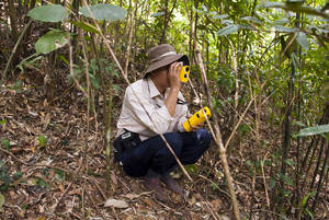 Nuevas directrices de la FAO ayudan a los países a evaluar mejor sus recursos forestales
