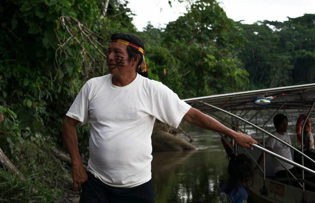 Ecuador: El pez eléctrico que combate a las carreteras en la Amazonia