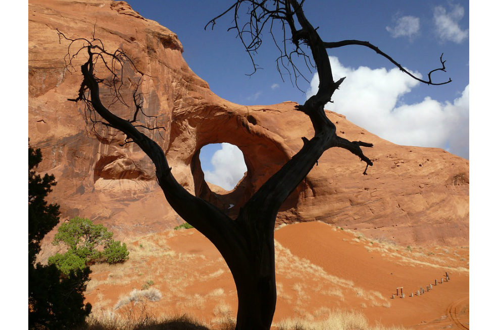 La región desértica del África que podría reverdecer a causa del cambio climático