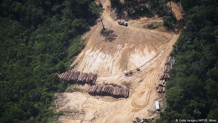 Colombia: se fueron las FARC y aumenta la deforestación