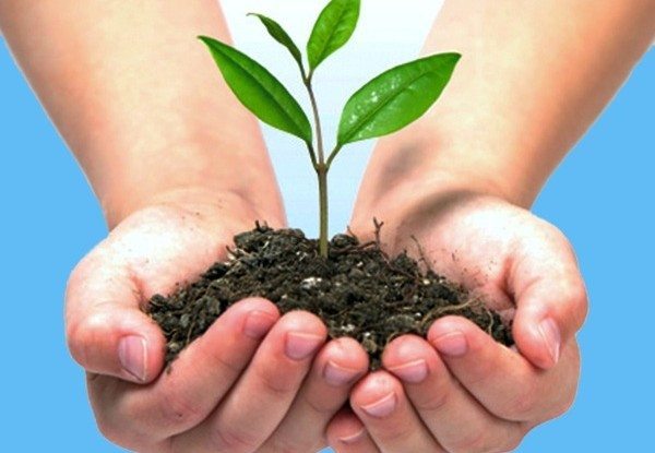 Asturias: El Principado crea una viceconsejería de Medio Ambiente, uniendo Calidad Ambiental, Prevención y Recursos Naturales