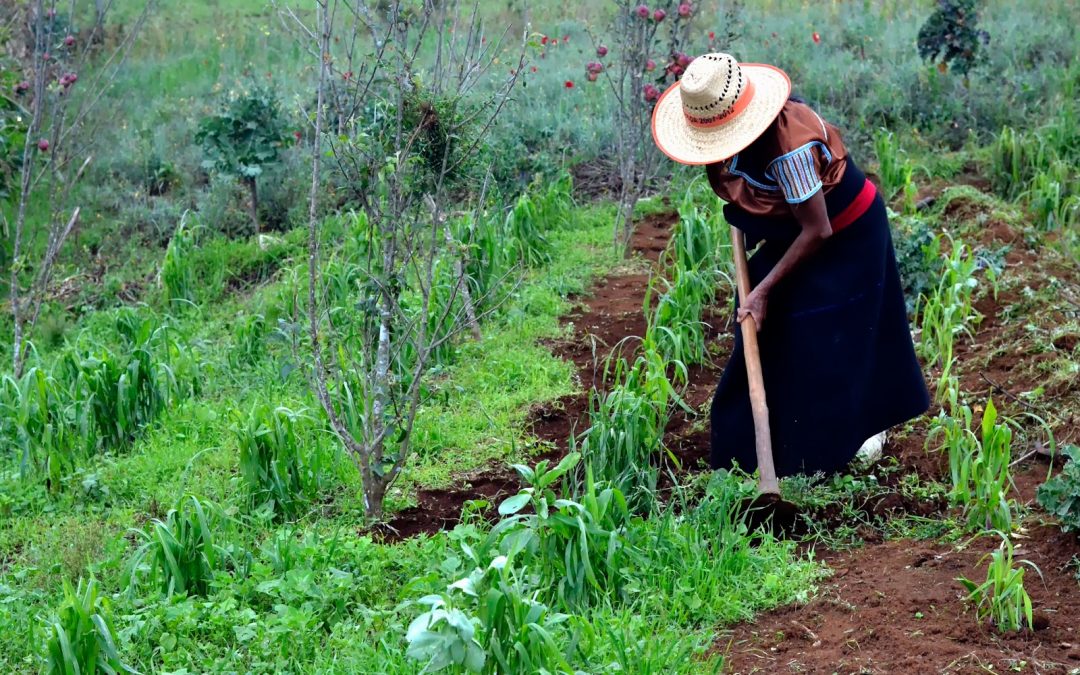 Día Internacional de los Pueblos Indígenas