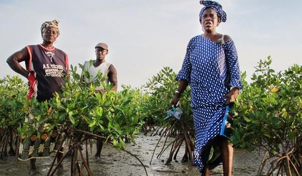 En Senegal, la democracia refuerza la protección climática