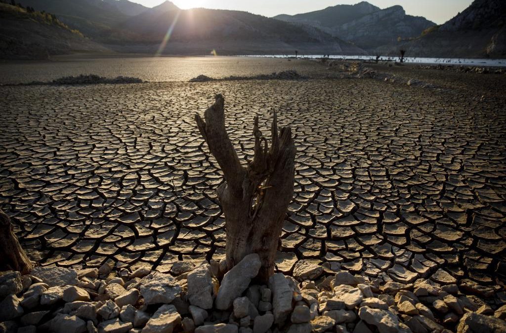 Sequía en León: la España verde se seca