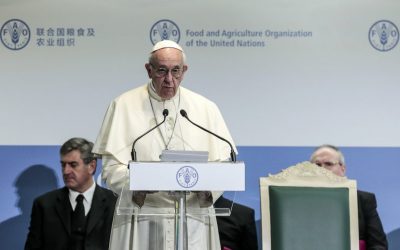 El Papa Francisco pide actuar frente al cambio climático y los conflictos para abordar la migración