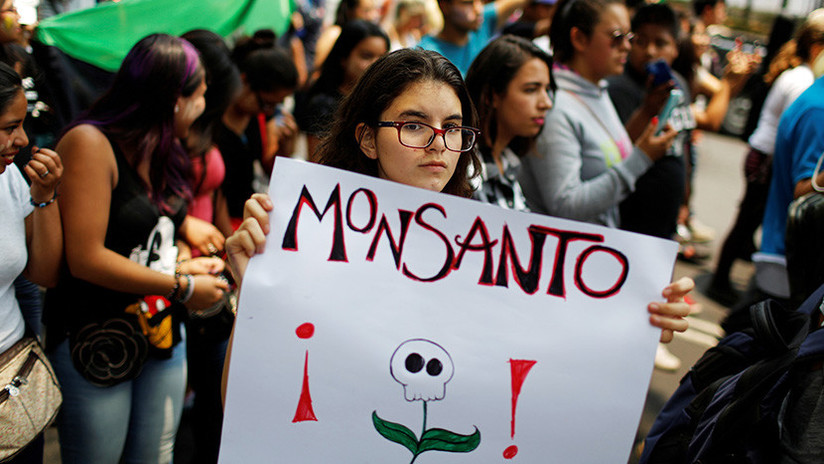 Contaminación transgénica: un riesgo inminente para México y la UE 