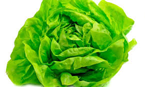 Estados Unidos: por qué el cambio climático afecta directamente el precio de la lechuga