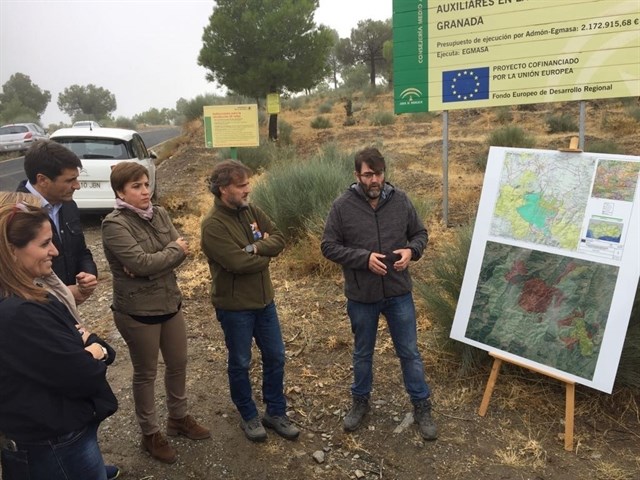 España: La Junta invierte tres millones de euros contra el decaimiento del pino en la Sierra de Baza