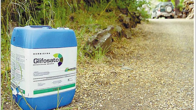 Prohibición de usar glifosato en Rosario