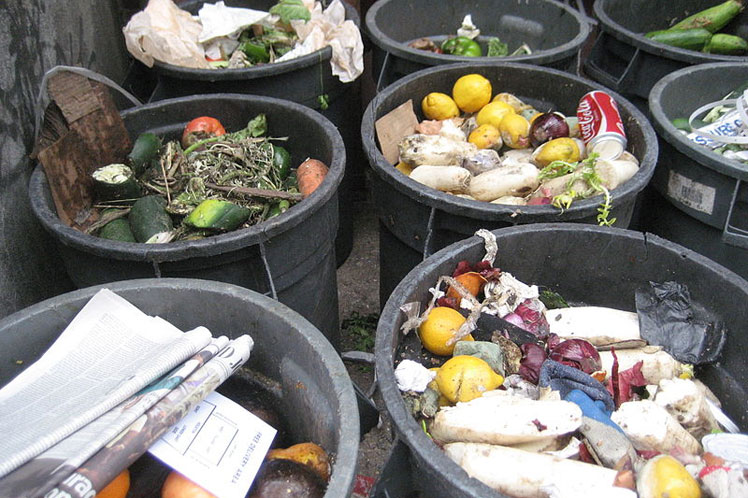 México: desperdicios de alimentos atenta contra el ambiente
