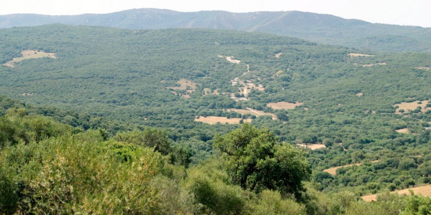 España: El Mapama, galardonado con el Premio Ozono de Naciones Unidas