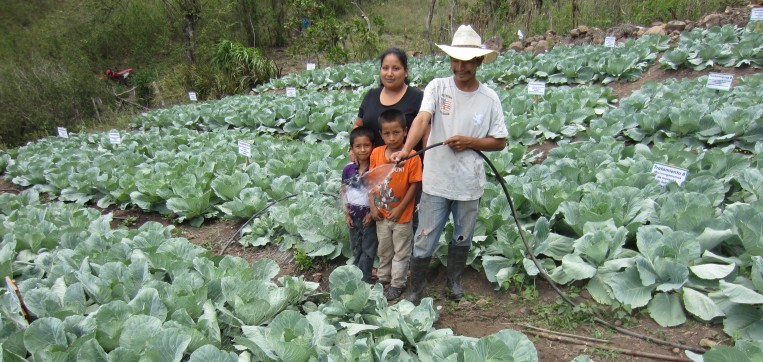 La agroecología toma fuerza en América Latina y el Caribe 