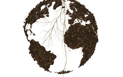 Día mundial del suelo – 5 de diciembre