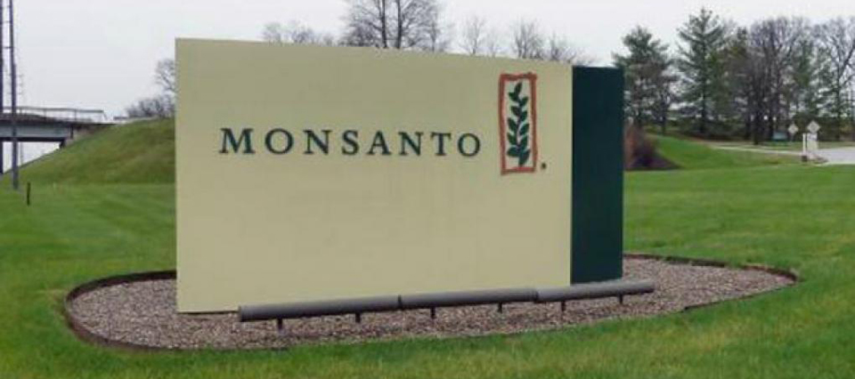 Estados Unidos dio el visto bueno: Bayer está cada vez más cerca de comprar Monsanto 