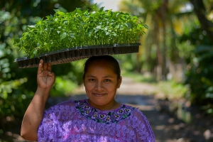 Tres agencias de las Naciones Unidas unen sus esfuerzos para erradicar el hambre y la malnutrición en América Latina y el Caribe