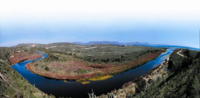 Chile: Se aprobó la creación de un Santuario de la Naturaleza en la Región de Coquimbo 