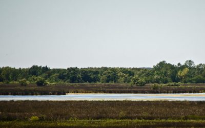 Nuevo Parque Nacional en Buenos Aires