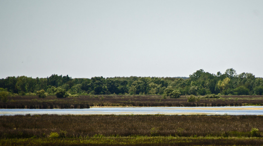 Nuevo Parque Nacional en Buenos Aires