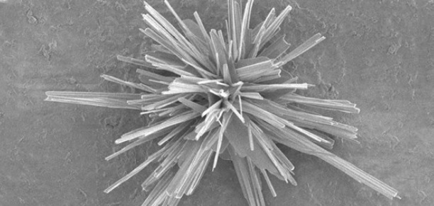 Más cerca de reciclar CO2 como plástico