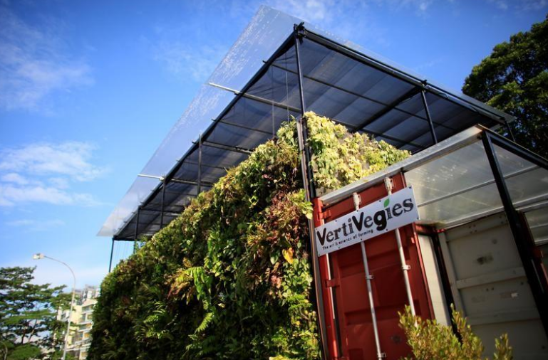 Granjas urbanas, «cruciales» para combatir el hambre y adaptarse al cambio climático