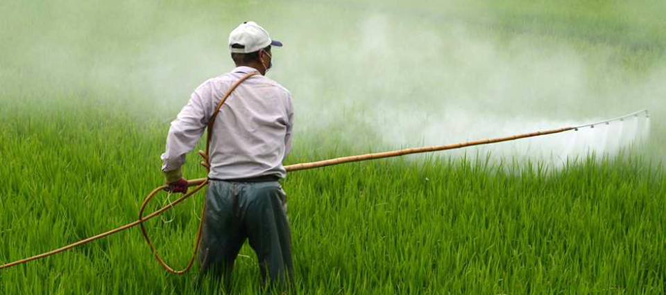 Los productores rechazaron la prohibición de glifosato en Entre Ríos
