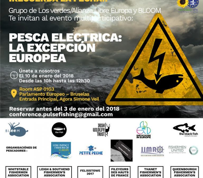 El Parlamento europeo votará el 16 de enero si prohibir la pesca eléctrica