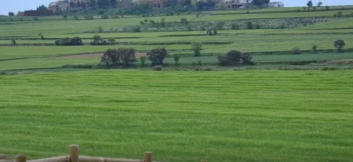 La política agraria de la UE perjudica la Red Natura