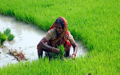 Día Internacional de la Mujer – 8 de marzo