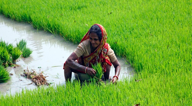 Día Internacional de la Mujer – 8 de marzo