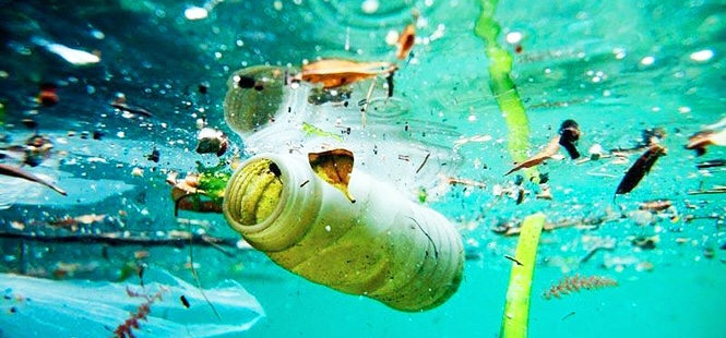 Ecuador y ONU Medio Ambiente lanzan un llamado a terminar con la contaminación por plásticos