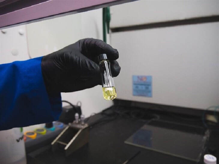 Tecnología verde: alfombras de proteínas capaces de absorber la contaminación