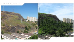 FAO: bosques urbanos ayudan a enfrentar la contaminación, el cambio climático y la falta de suministro de agua