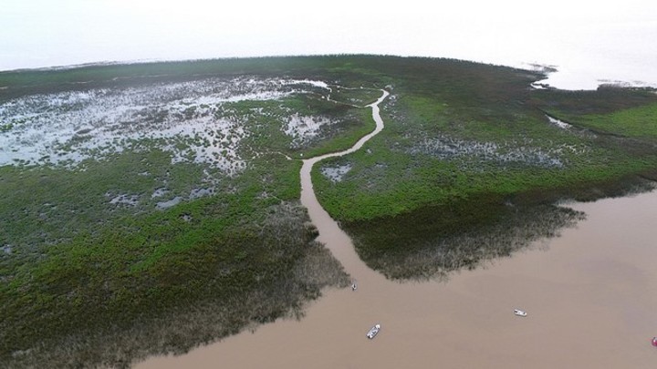 No paran de crecer islas en la costa de San Isidro  por la tala y la sedimentación
