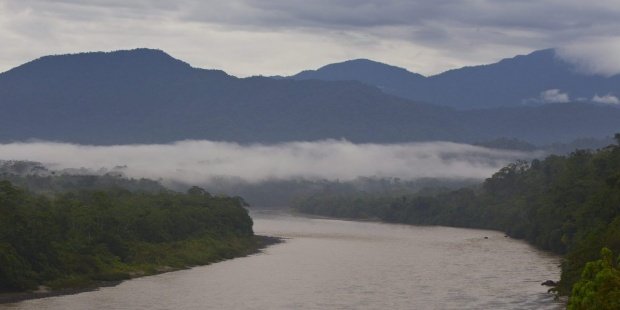 Esperan declarar 1.052 áreas protegidas en el bioma amazónico