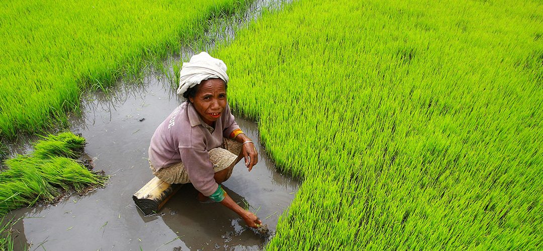 Día Internacional de la Madre Tierra, 22 de abril