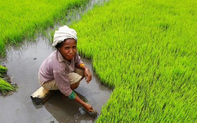 Día Internacional de la Madre Tierra, 22 de abril
