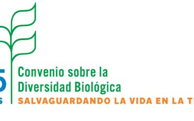 Día Internacional de la Diversidad Biológica, 22 de mayo