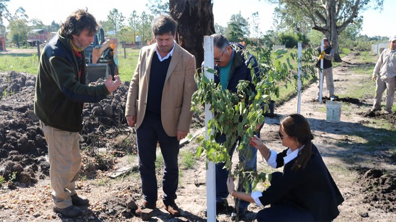 Federación, Entre Ríos, recibió una donación de 250 especies arbóreas autóctonas y nativas