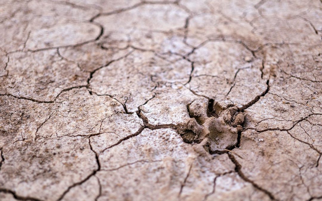 ¿Cómo va España en la lucha contra el cambio climático?