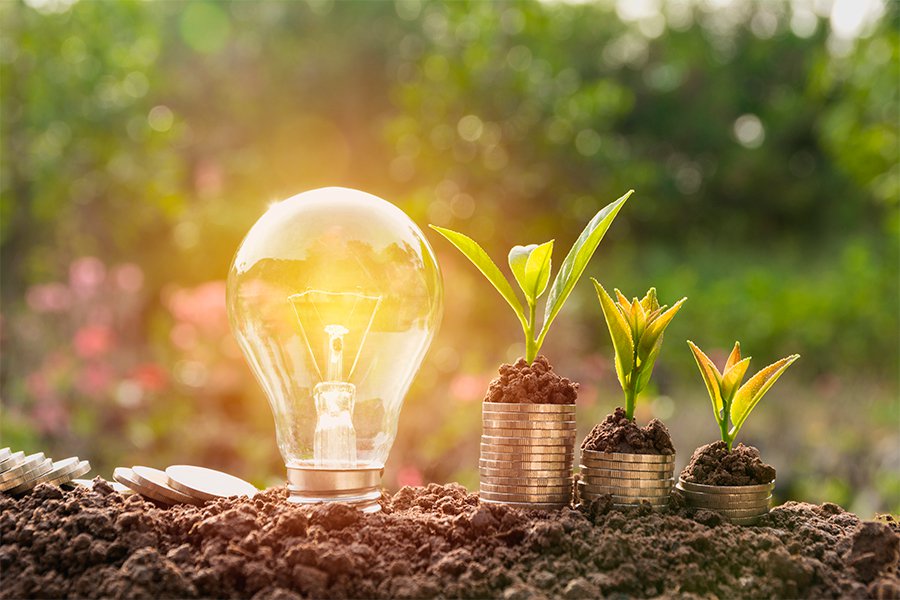 Acciones empresariales sustentables enfocadas a cuidar el ambiente