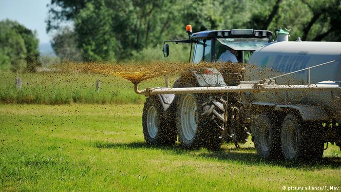 Agricultura: a menos nitrato, mejor calidad del agua en Alemania