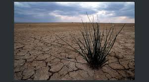 Bancos de desarrollo elevaron un 28 % los préstamos contra el cambio climático