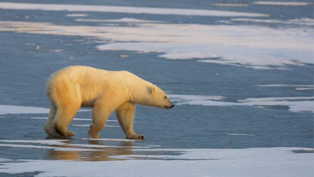 El cambio climático entra de lleno en la agenda