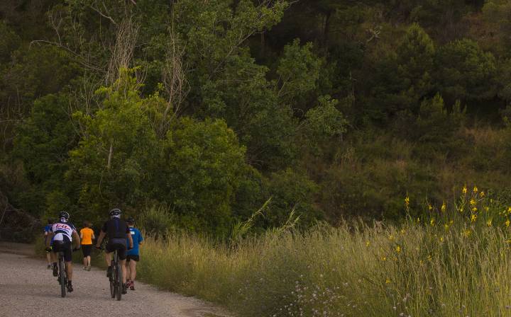 Las lluvias primaverales auguran un verano con poco riesgo de incendios en Cataluña