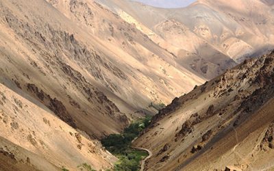 Día Mundial de Lucha contra la Desertificación y la Sequía, 17 de junio